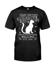 Salem Sanctuary Premium Fit Mens Tee tile
