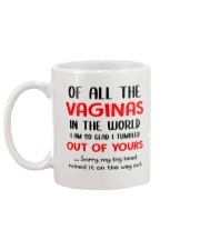 Of all the vaginals in the world I'm so glad mug Mug back