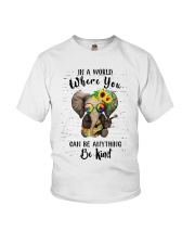 Be Kind In A World Youth T-Shirt thumbnail