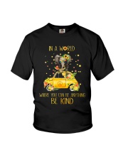 Be Kind In A World Youth T-Shirt thumbnail