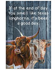 Poster You Smell Like - Texas Longhorn 11x17 Poster front
