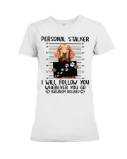 Irish Setter Premium Fit Ladies Tee tile