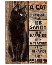 A cat is not just a cat he is sanity he is happine 11x17 Poster front