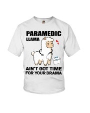 Paramedic Llama Hardworking Funny Gift Youth T-Shirt tile