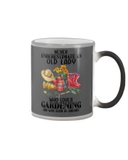 Garden277 January Color Changing Mug tile