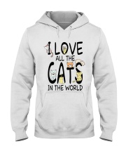 I love all the cats in the world Hooded Sweatshirt tile