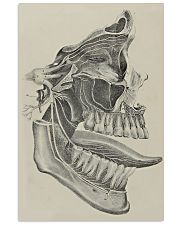 Dental Anatomy N-1 11x17 Poster front