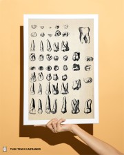 Vintage Dental Anatomy 11x17 Poster aos-poster-portrait-11x17-lifestyle-32