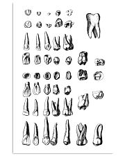 Teeth Anatomy 11x17 Poster front