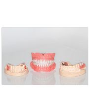 Dentures 17x11 Poster front