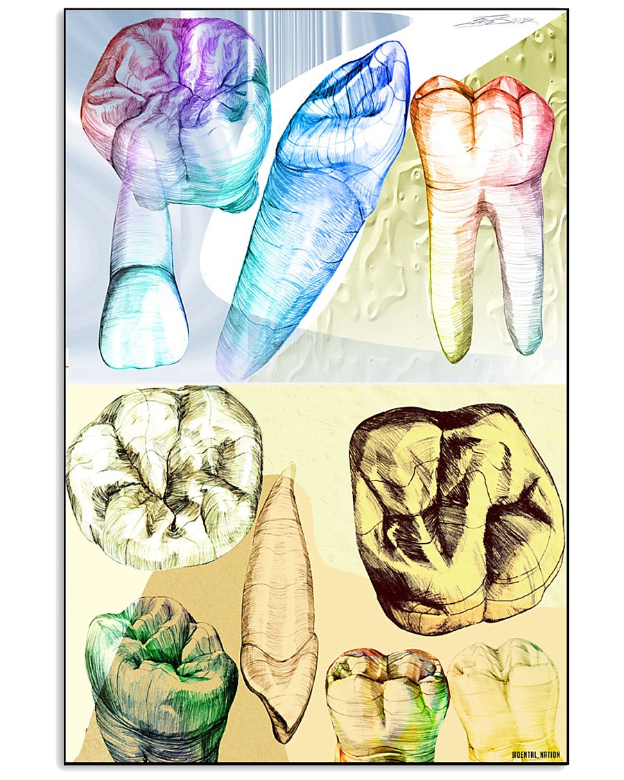 Drawing Teeth 11x17 Poster