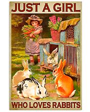 Girl Loves Cute Rabbits 11x17 Poster front