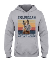 You think I'm high maintenance Horse lovers Hooded Sweatshirt tile