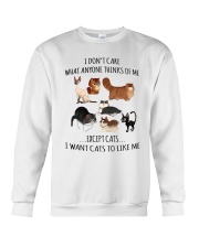 I DON'T CARE Crewneck Sweatshirt thumbnail