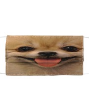 Limited Edition Cloth face mask front