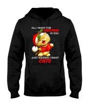 LIMITED EDITION Hooded Sweatshirt front