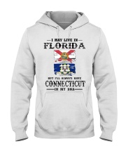 Live Florida Connecticut In My DNA Hooded Sweatshirt tile