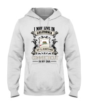 Live In California Connecticut In My DNA Hooded Sweatshirt tile