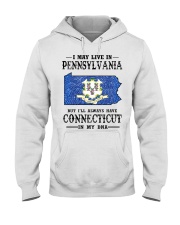 Live In Pennsylvania But Connecticut In My DNA Hooded Sweatshirt tile