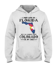 Live In Florida But Colorado In My DNA Hooded Sweatshirt tile