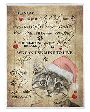 I Know im just a Cat Comforter - Twin XL thumbnail