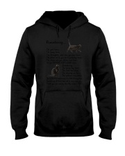 Black Cat Remembering Hooded Sweatshirt thumbnail