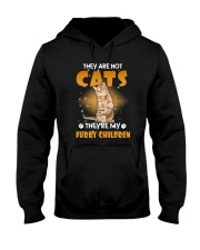 Cats Furry Hooded Sweatshirt thumbnail