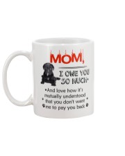 Cane Corso - I owe you Mom 1806P Mug back
