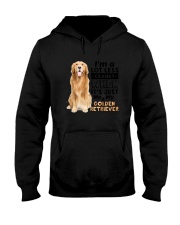 Golden Retriever and Me 2006 Hooded Sweatshirt thumbnail
