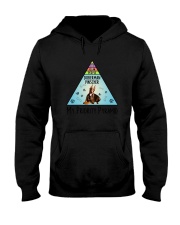 Doberman Pinscher Pyramid 1806 Hooded Sweatshirt thumbnail