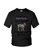 My Cane Corso is not spoiled 2006L Youth T-Shirt thumbnail