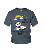 Pandicorns 2911 Youth T-Shirt thumbnail