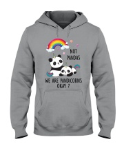 Pandicorns 2911 Hooded Sweatshirt thumbnail