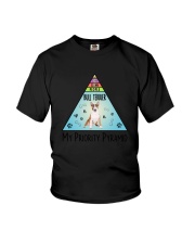 Bull Terrier Pyramid 1806 Youth T-Shirt thumbnail