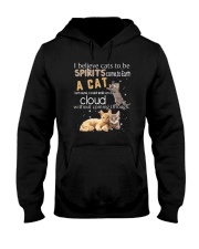 Cat Spirits Hooded Sweatshirt thumbnail