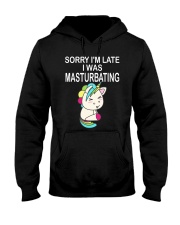 Unicorn Masturbating Hooded Sweatshirt front