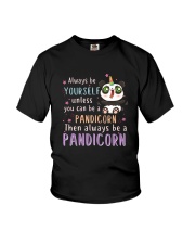 Pandicorn Youth T-Shirt thumbnail