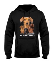 Dachshund Furry Family 2006 Hooded Sweatshirt thumbnail