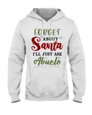 FORGET ABOUT SANTA - GREAT GIFT FOR GRANDCHILD Hooded Sweatshirt tile