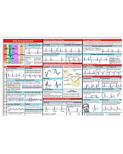 Cardiologist EKG Interpretation 17x11 Poster front