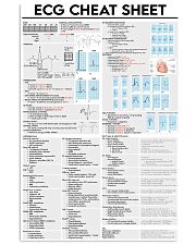 ECG Cheat Sheet Cardiologist 11x17 Poster front