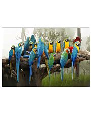 Blue Parrots 17x11 Poster front