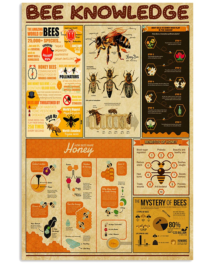 Bee Knowledge 11x17 Poster