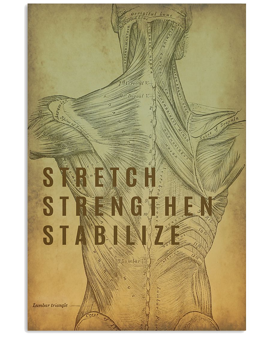 Physical Therapy Stretch Strengthen Stabilize 11x17 Poster