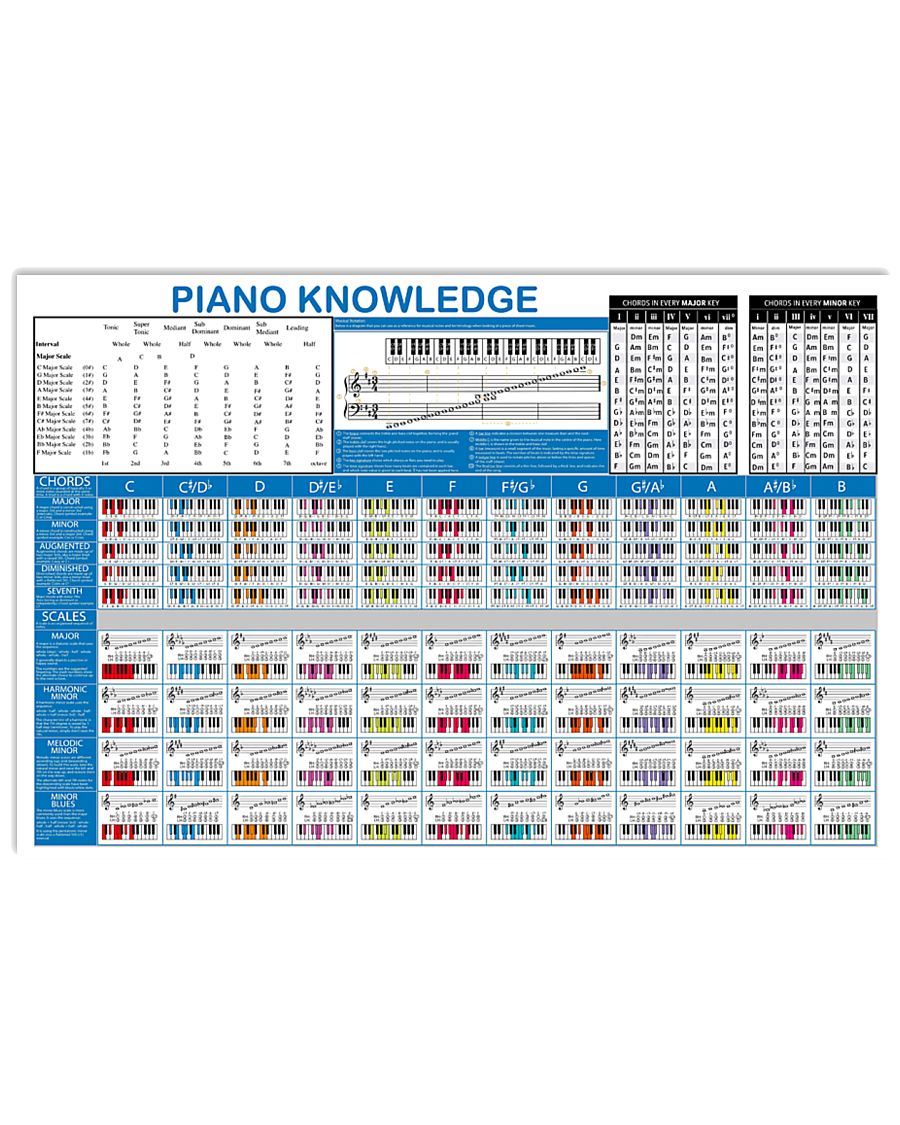 Pianist Piano Knowledge 17x11 Poster
