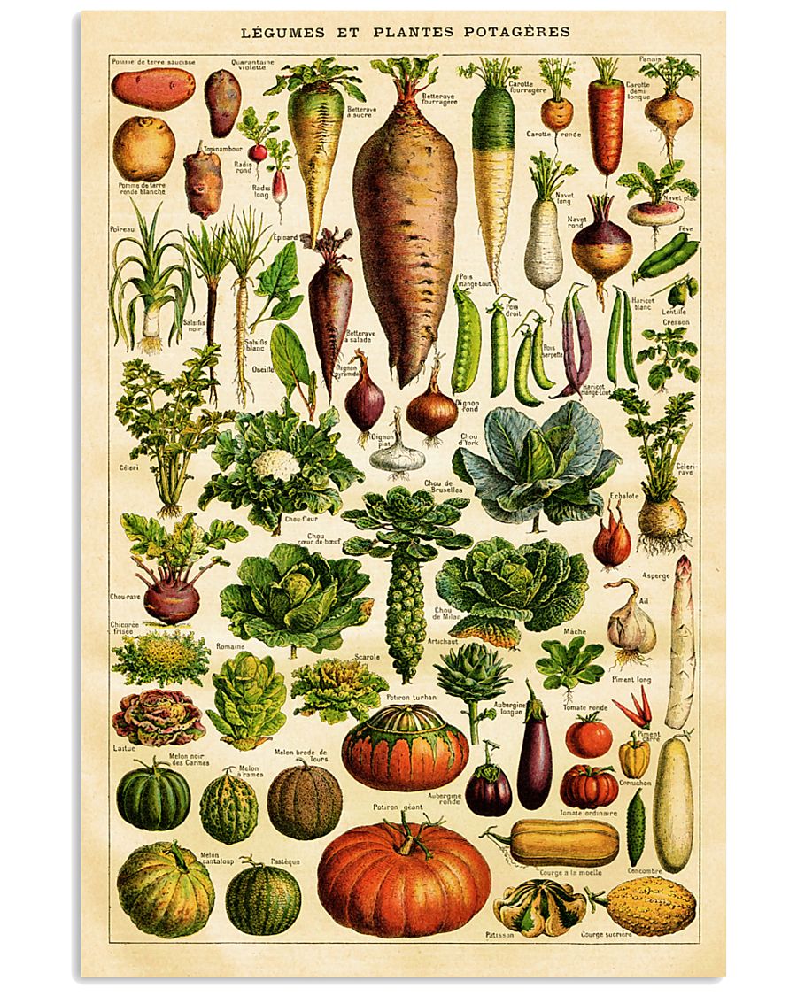 Dietitian Vegetables 11x17 Poster