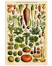 Dietitian Vegetables 11x17 Poster front