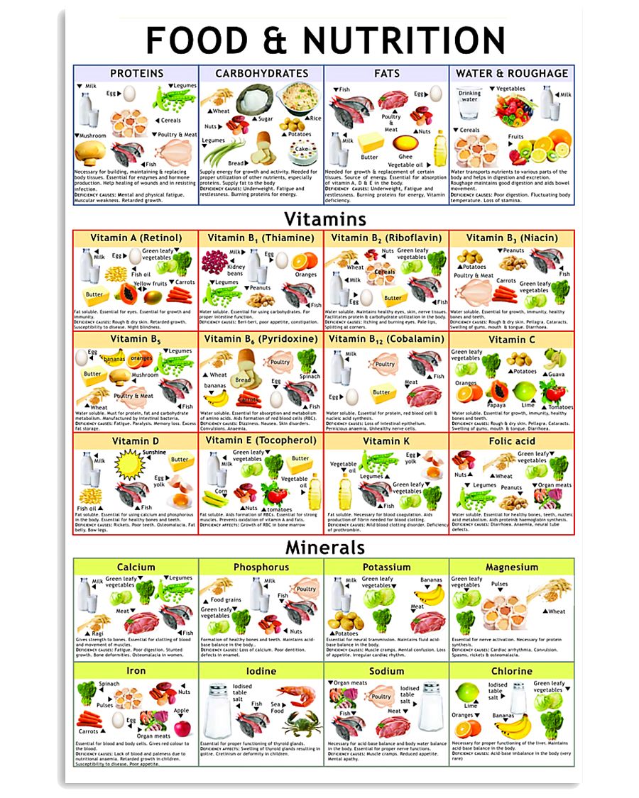 Dietitian Nutritionist Food And Nutrition 16x24 Poster