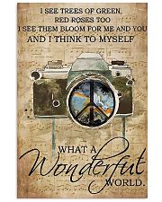 Photographer A Wonderful World 11x17 Poster front
