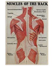 Massage Therapist Muscles Of The Back 11x17 Poster front